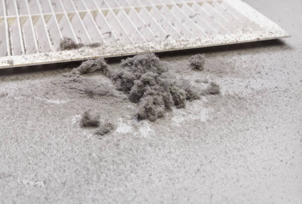 Best Residential Air Duct Cleaning  in Whiteville, NC