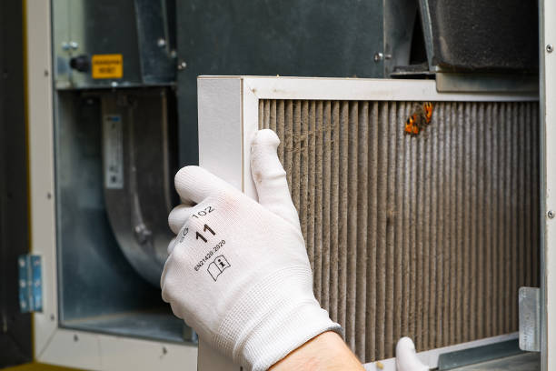 Best Air Duct Cleaning Near Me  in Whiteville, NC