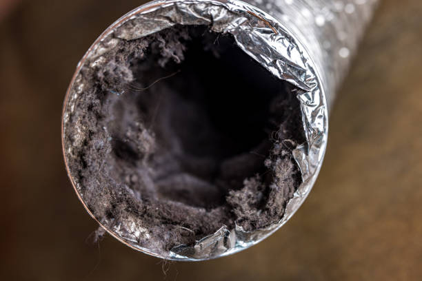 Best HVAC Air Duct Cleaning  in Whiteville, NC